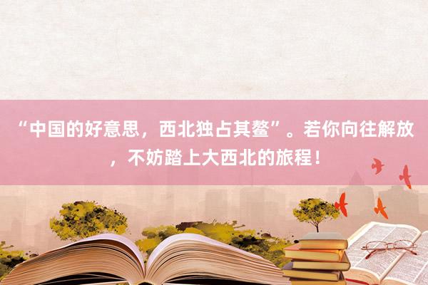 “中国的好意思，西北独占其鳌”。若你向往解放，不妨踏上大西北的旅程！