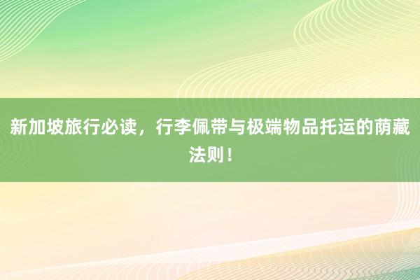 新加坡旅行必读，行李佩带与极端物品托运的荫藏法则！